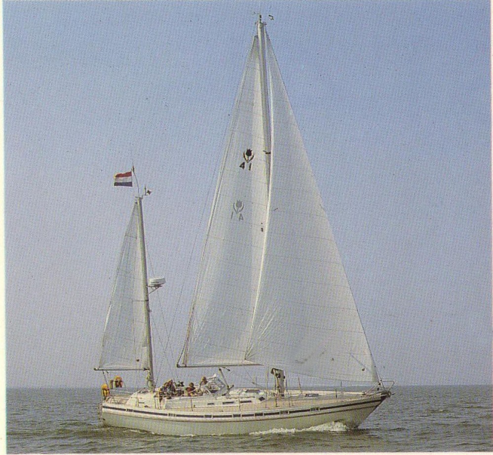 Contest 41ketch