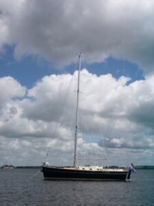 raven2