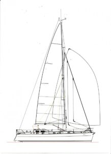 Shearwater 39