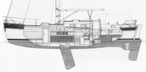 lapwingsb side