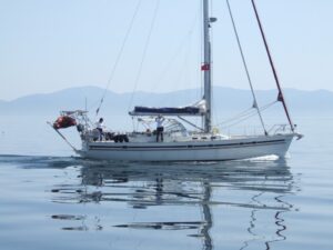 DSCF2459