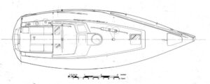 CurlewMC deck1