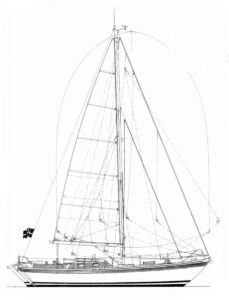 Asiak 36