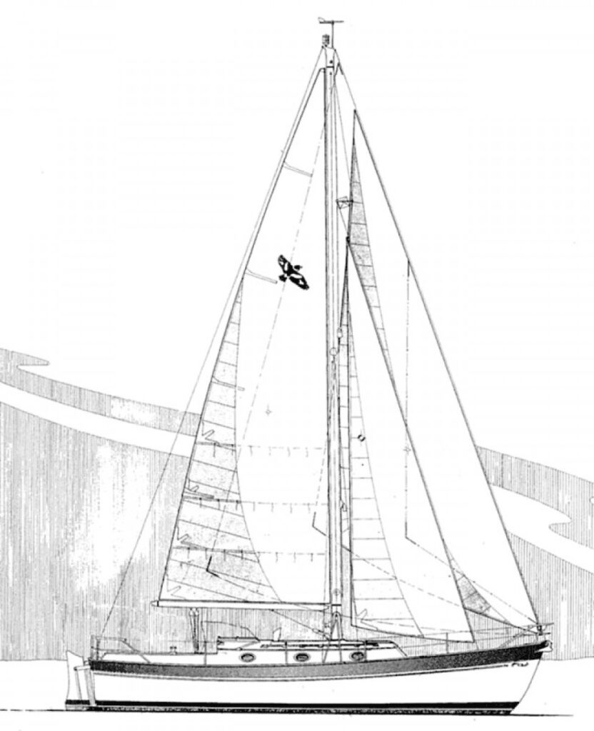 Zeevink
