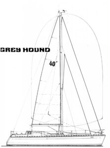 Grey-Hound