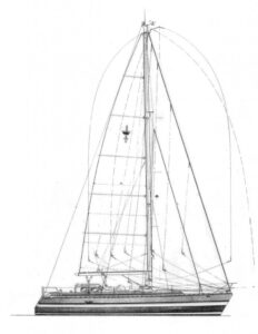 Image1
