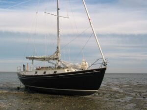 Zeevinkdroog2